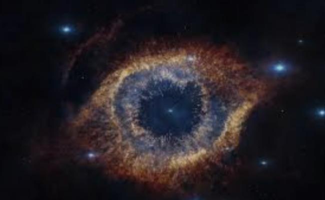 人类如果灭绝 这生物最可能接管地球 人类如果灭绝 这生物最可能接管地球