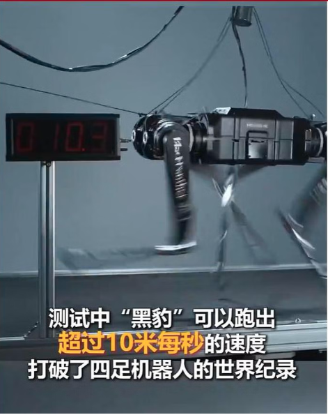 10米每秒!中国推出全球最快四足机器人
