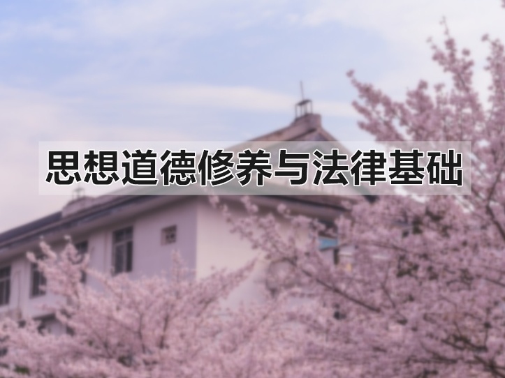 《思想道德修养与法律基础（武汉大学）》课程