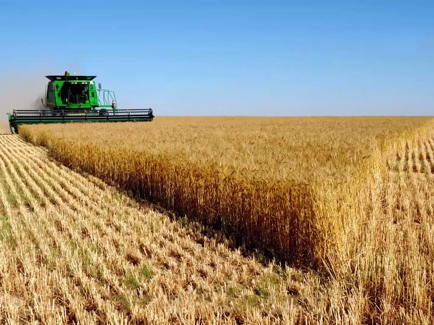 《乡村振兴的时代意义与规划蓝图》课程