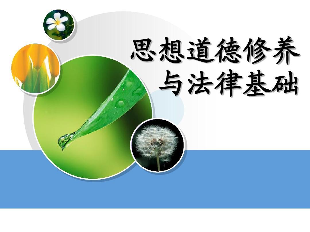 《思想道德修养与法律基础（清华大学）》课程